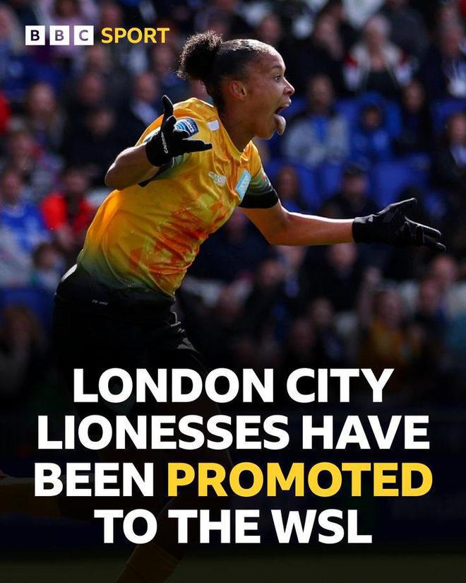 他们是本赛 他们是本赛