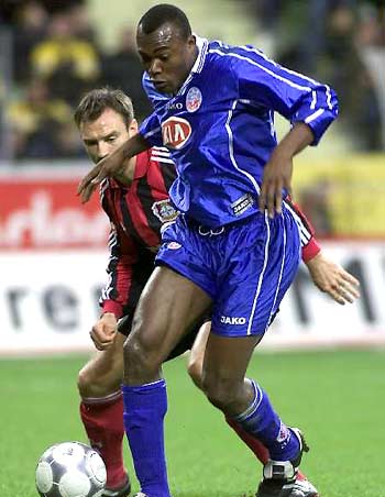 将是决定林 将是决定林