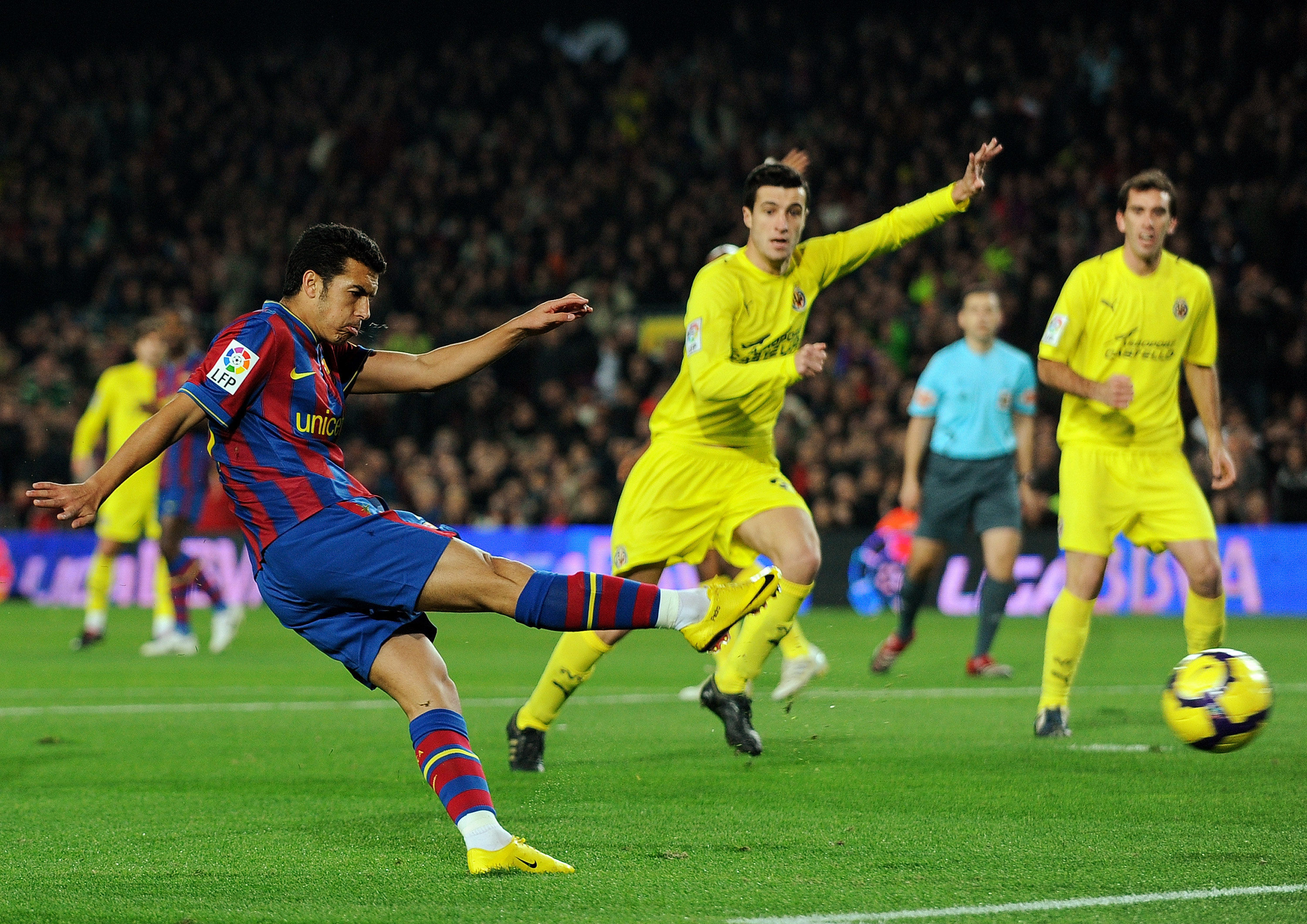 他们不仅是 他们不仅是